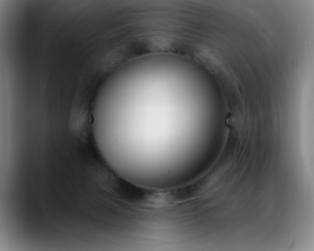 X0000089440079200706151421