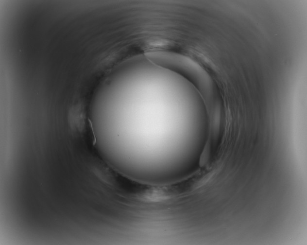 X0000089440080200706151421