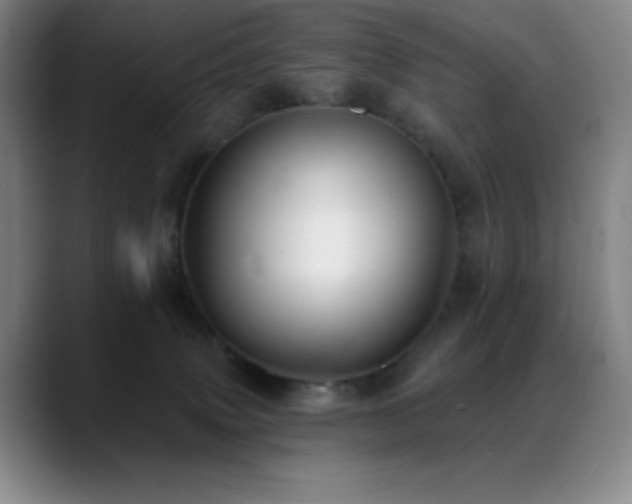 X0000089440083200706151421