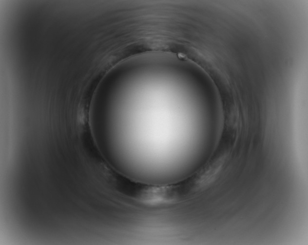 X0000089440084200706151421