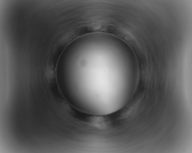 X0000089440085200706151421