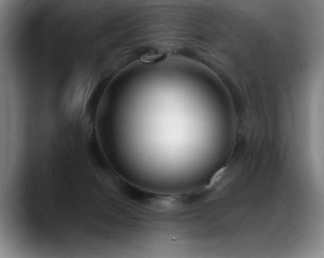 X0000089440086200706151421