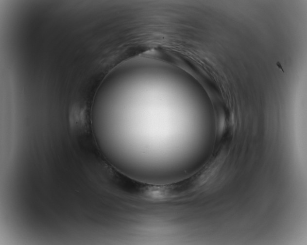 X0000089440088200706151421