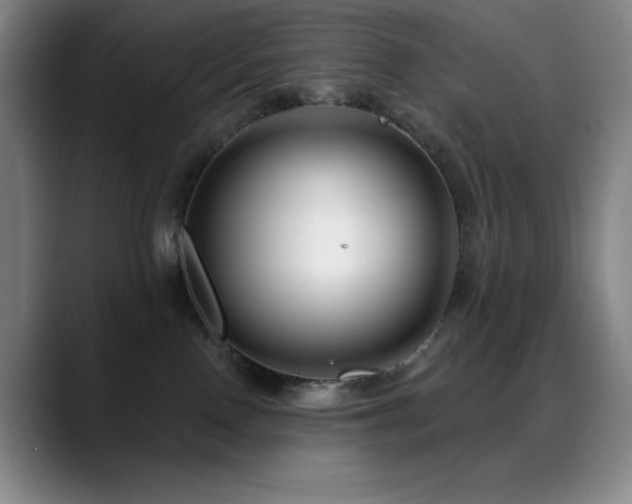 X0000089440090200706151421