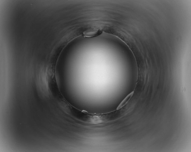 X0000089440091200706151421