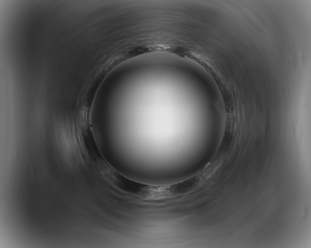 X0000089440093200706151421