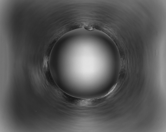 X0000089440094200706151421