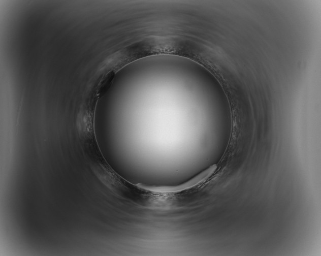 X0000089440096200706151421