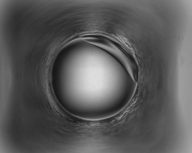 X0000089440097200706151421
