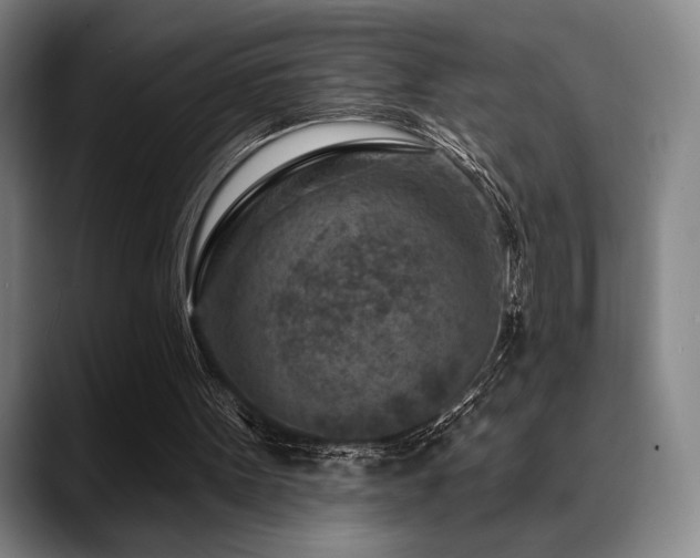 X0000089440099200706151421