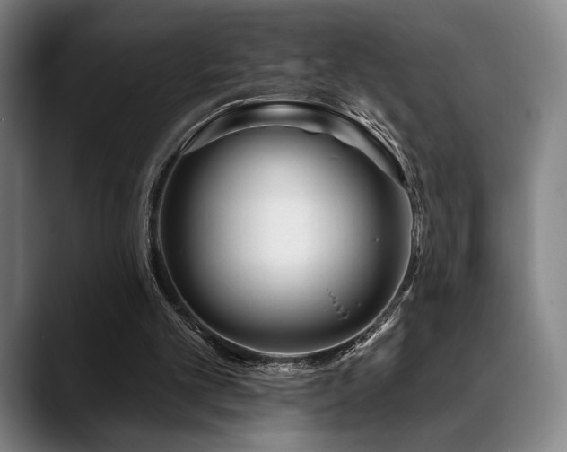 X0000089440101200706151421