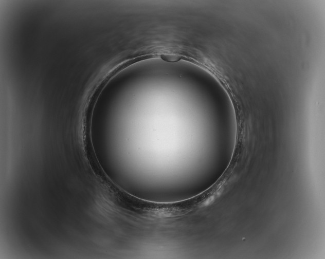 X0000089440103200706151421