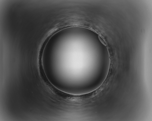 X0000089440104200706151421