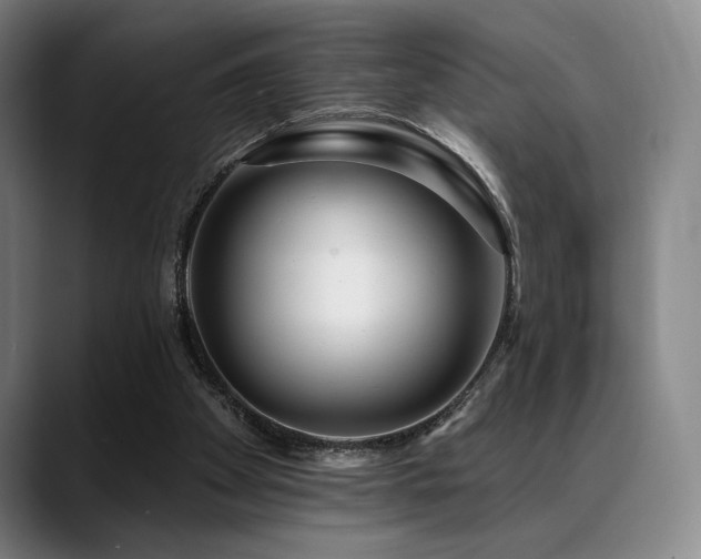 X0000089440105200706151421