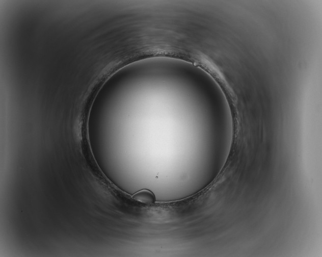 X0000089440106200706151421