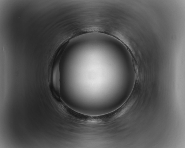 X0000089440109200706151421