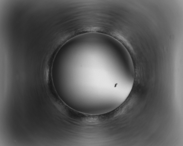 X0000089440110200706151421