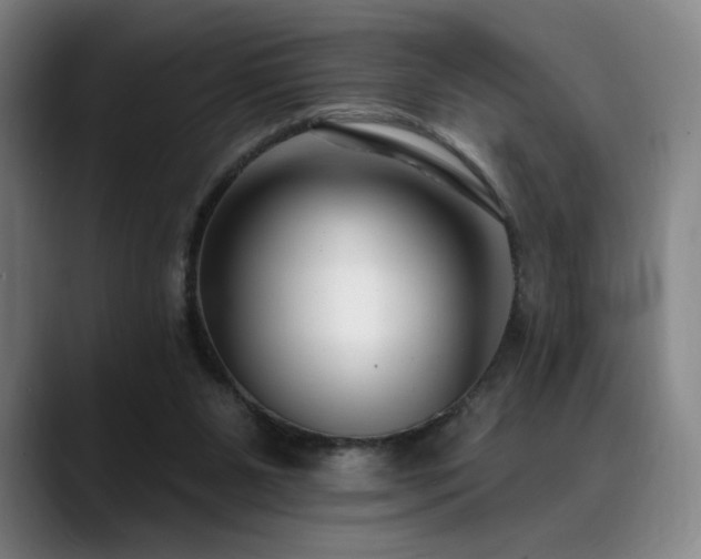 X0000089440111200706151421