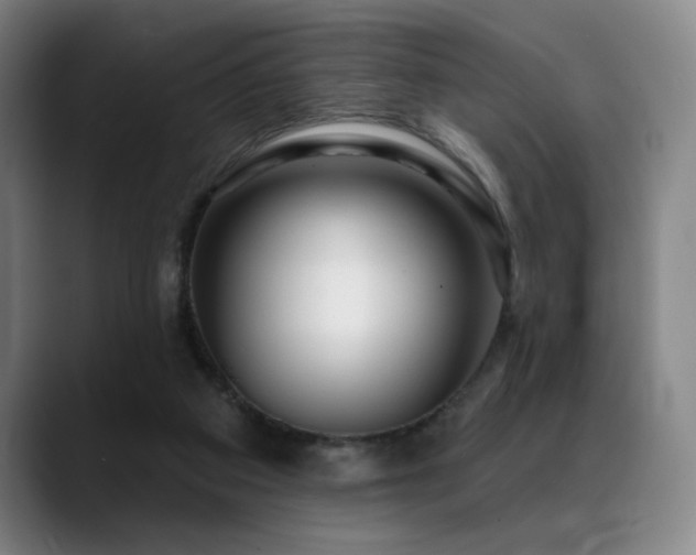 X0000089440113200706151421