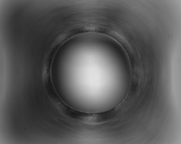 X0000089440116200706151421