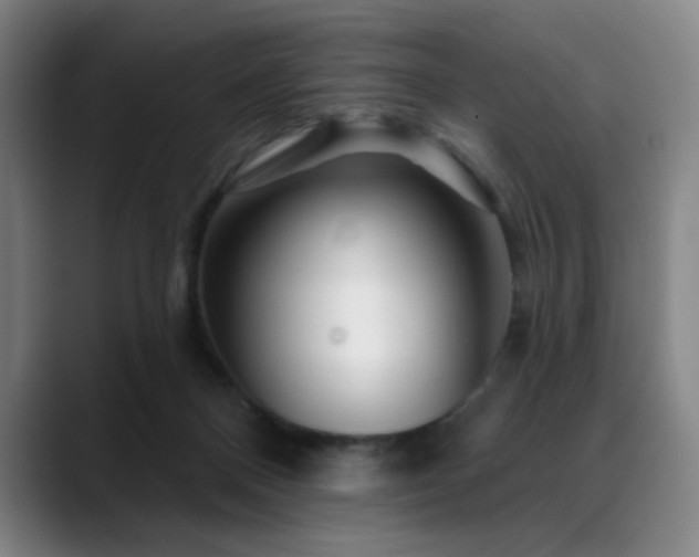 X0000089440120200706151420