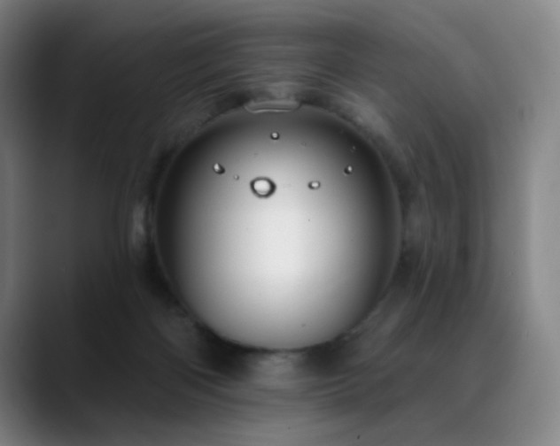 X0000089440122200706151420