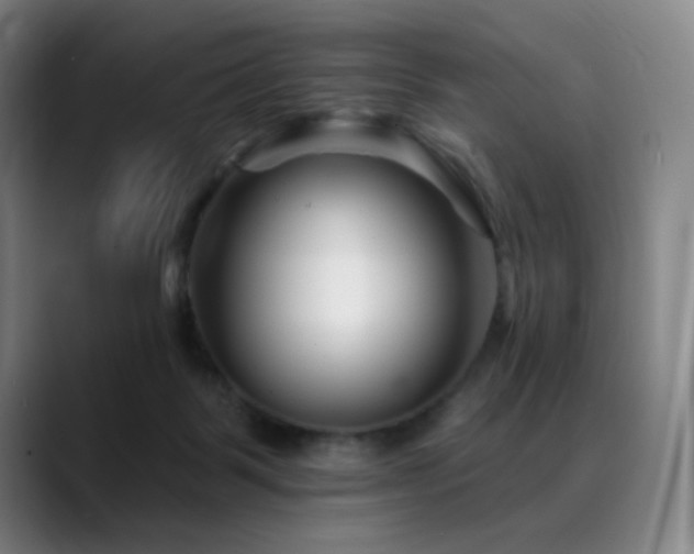 X0000089440123200706151420