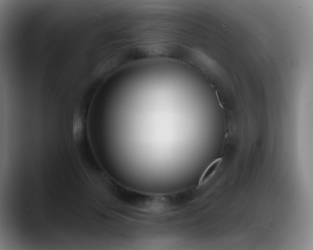 X0000089440124200706151420