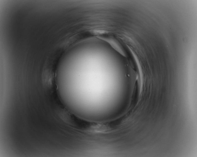 X0000089440125200706151420