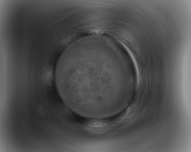 X0000089440127200706151420