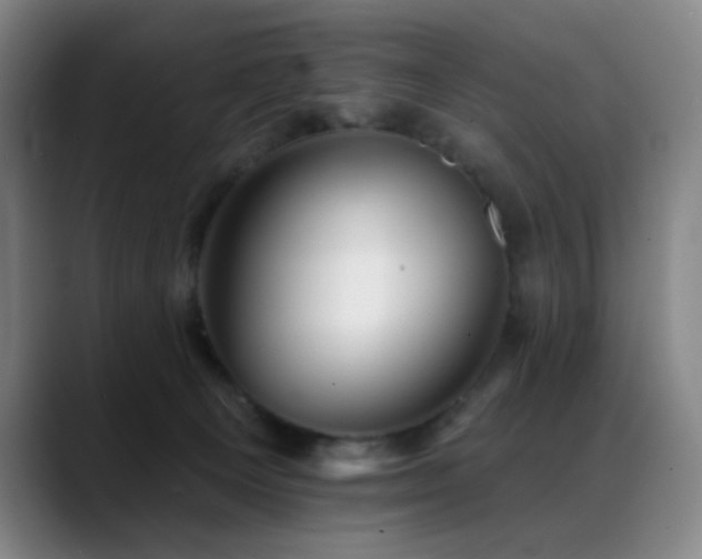 X0000089440129200706151420