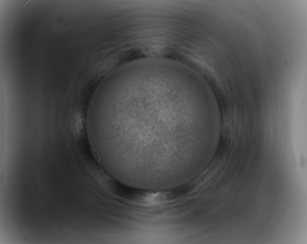 X0000089440130200706151420
