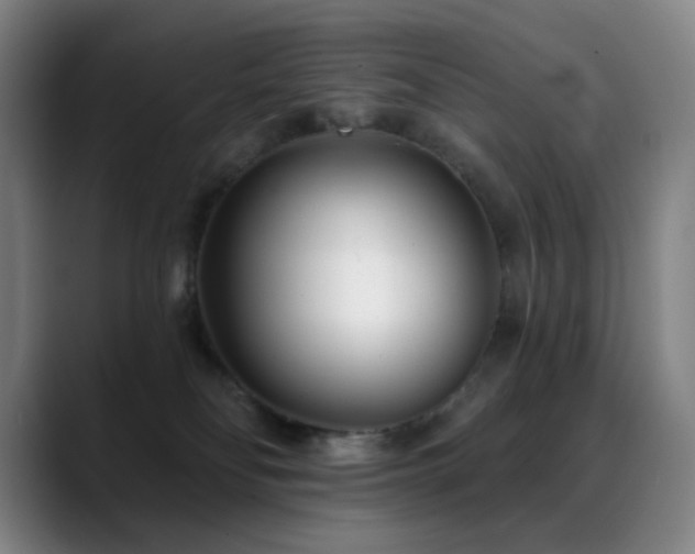 X0000089440134200706151420