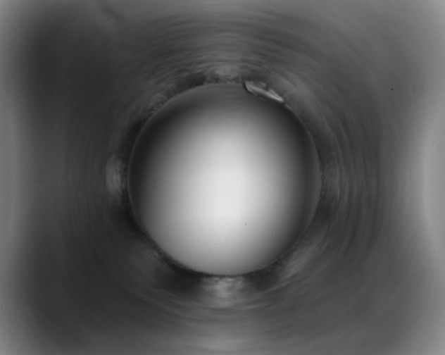 X0000089440135200706151420