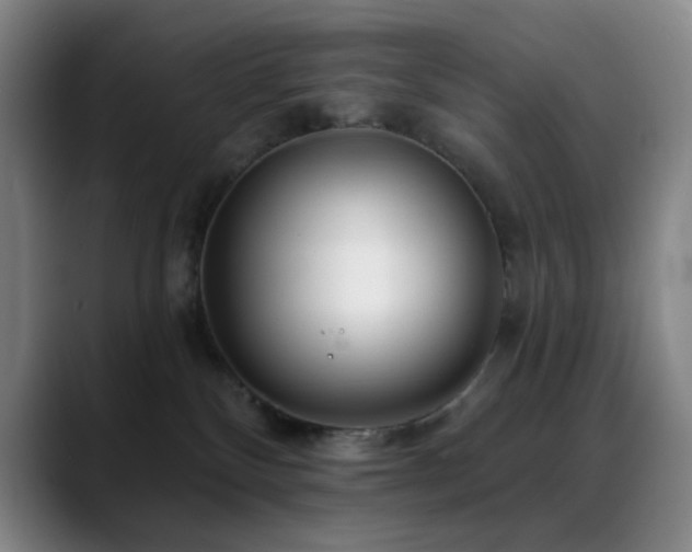 X0000089440136200706151420