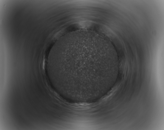 X0000089440137200706151420
