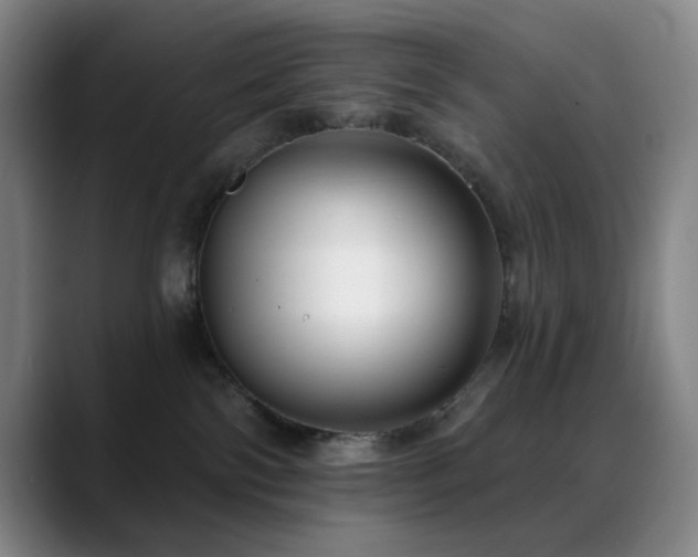 X0000089440138200706151420