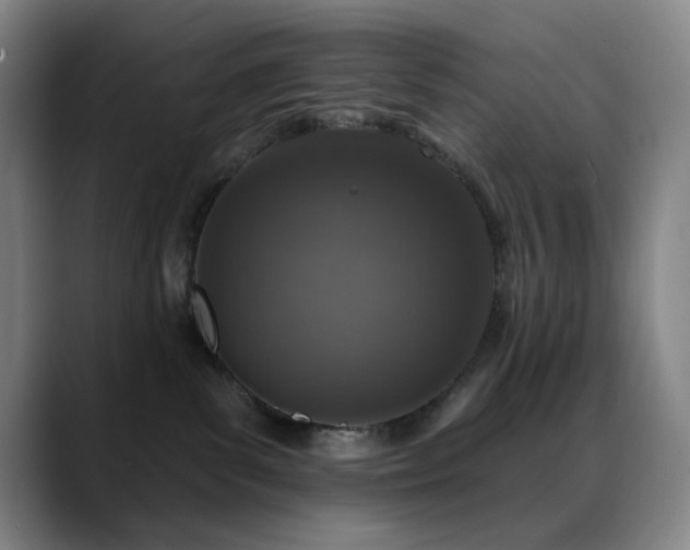 X0000089440139200706151420