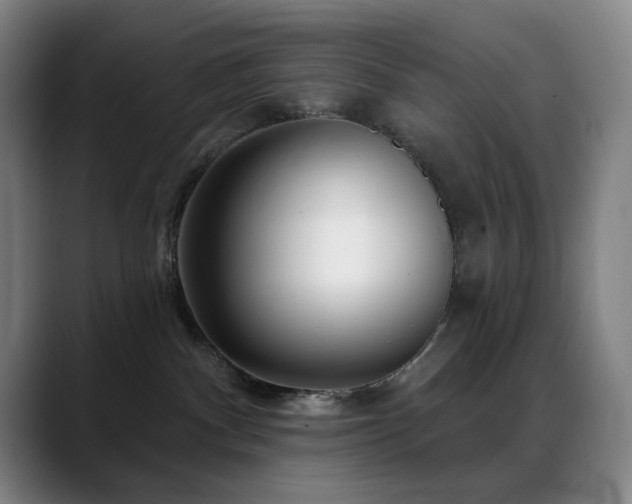 X0000089440140200706151420