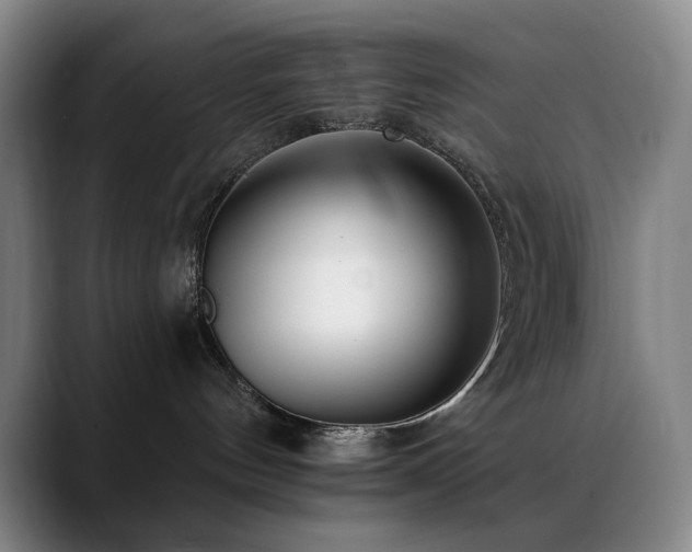 X0000089440144200706151420