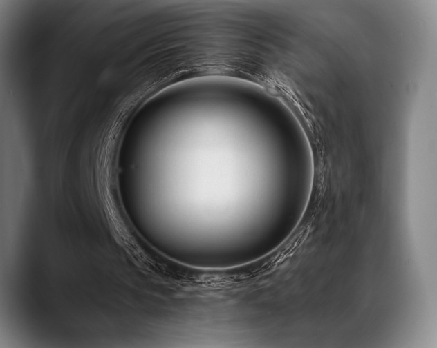 X0000089440145200706151420