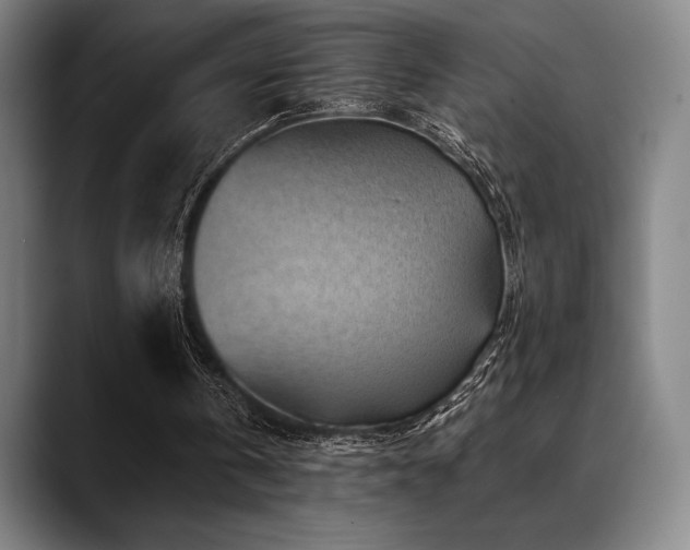X0000089440146200706151420