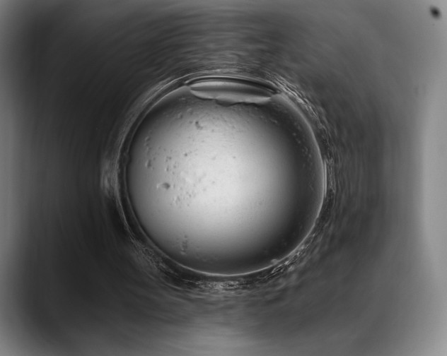 X0000089440147200706151420