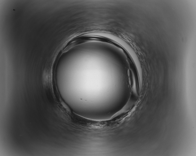 X0000089440148200706151420
