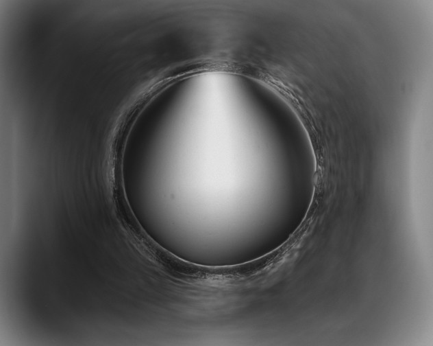 X0000089440149200706151420