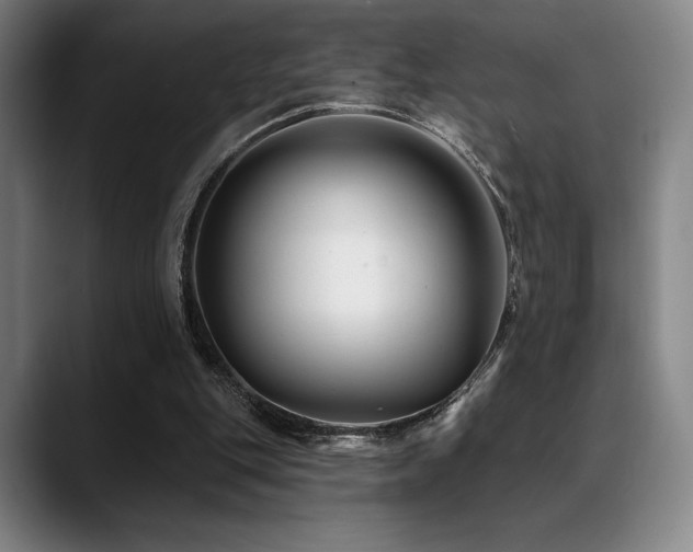 X0000089440151200706151420