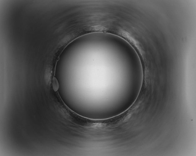 X0000089440153200706151420