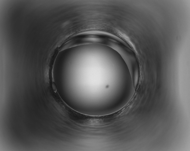 X0000089440154200706151420