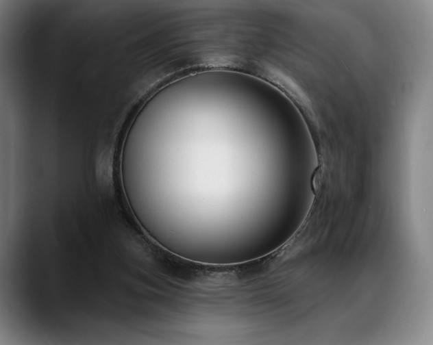 X0000089440155200706151420