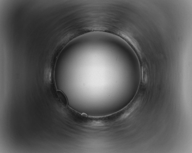 X0000089440157200706151420